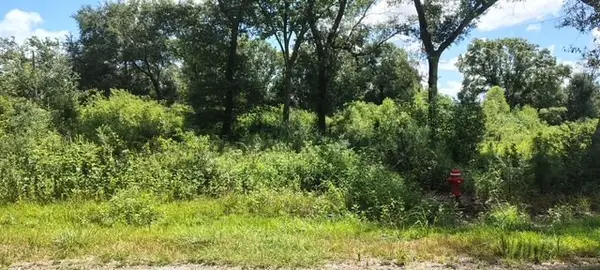 17895 Camellia Drive, Beaumont, TX 77705
