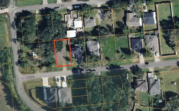 4909 Ricky Street, Houston, TX 77033