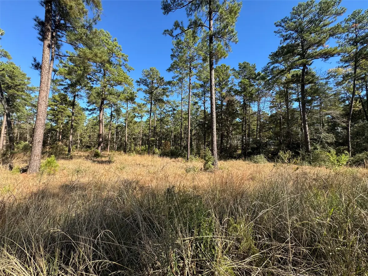 065 Private Road 6026, Brookeland, TX 75931 - #1