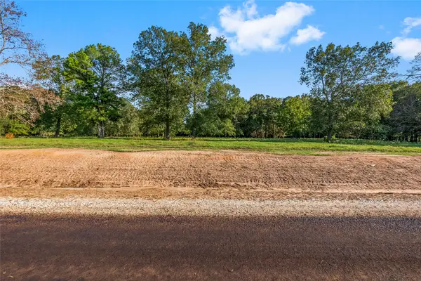 6034 Alans Memorial Lane, New Waverly, TX 77358