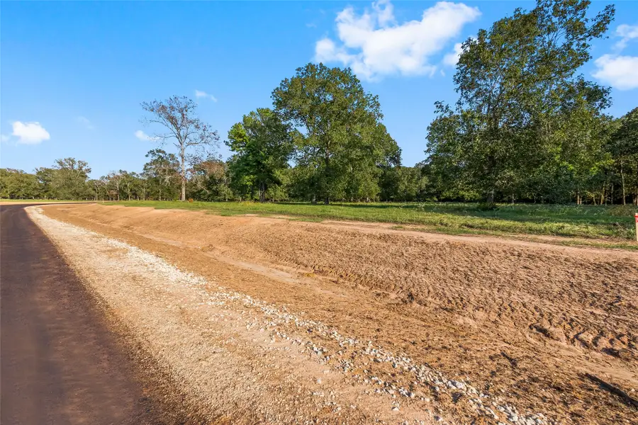 6034 Alans Memorial Lane, New Waverly, TX 77358 - Image #2