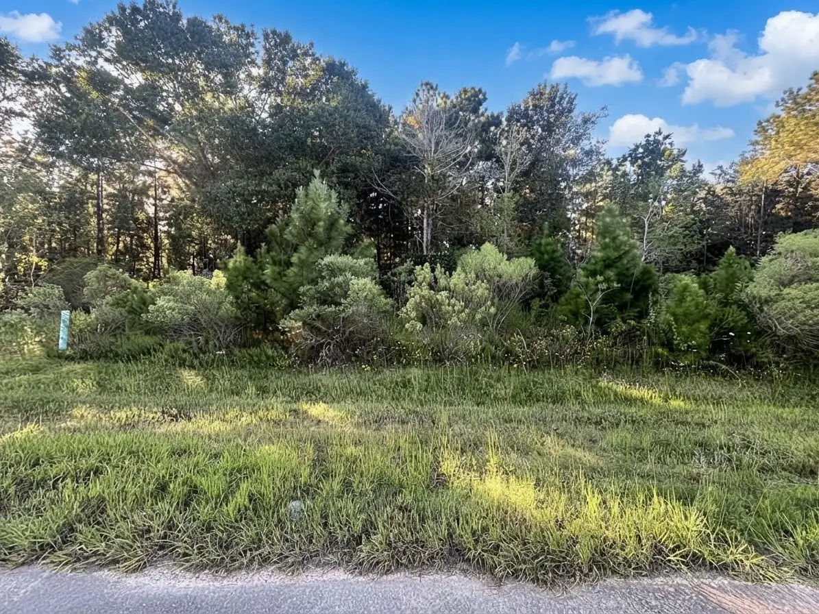 154 Road 5268, Cleveland, TX 77327 - #1