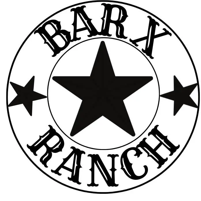 268 Brahman Trail, Angleton, TX 77515 - Image #3