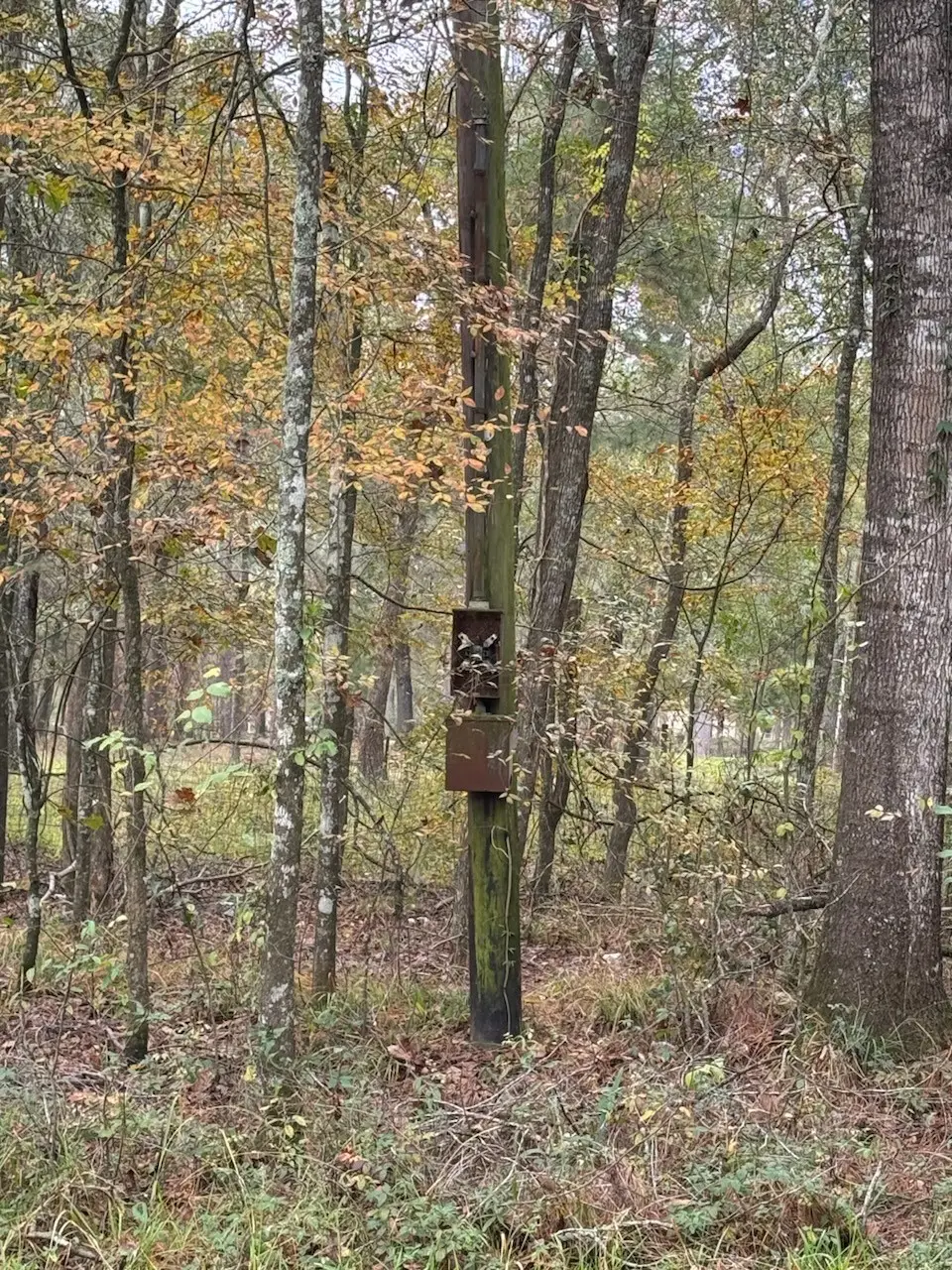 0 Red Oak Ln, New Caney, TX 77357 - Image #1