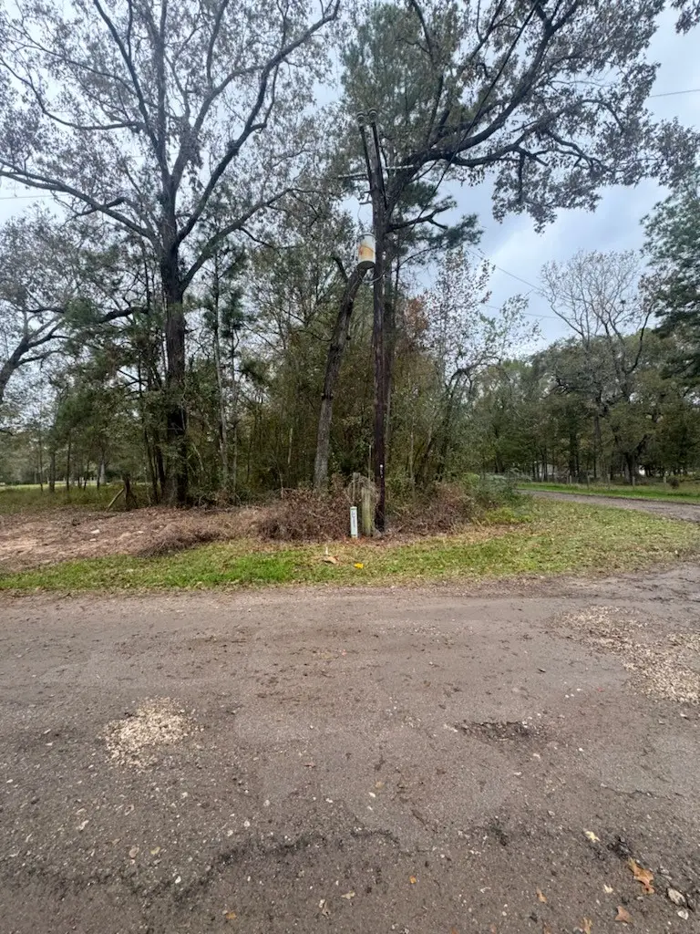 0 Red Oak Ln, New Caney, TX 77357 - Image #2