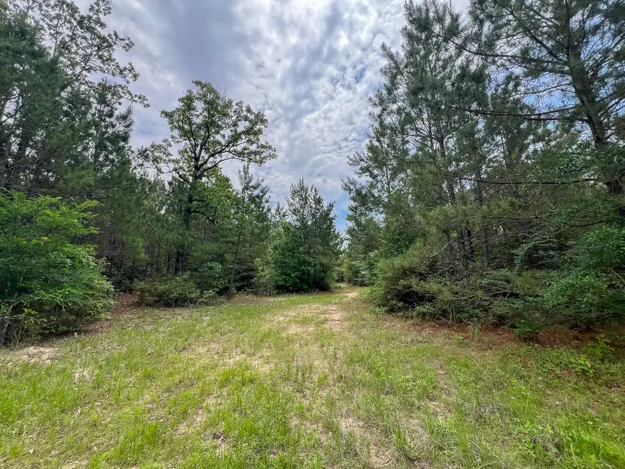 0 Highway 75 North, Huntsville, TX 77340 - #2