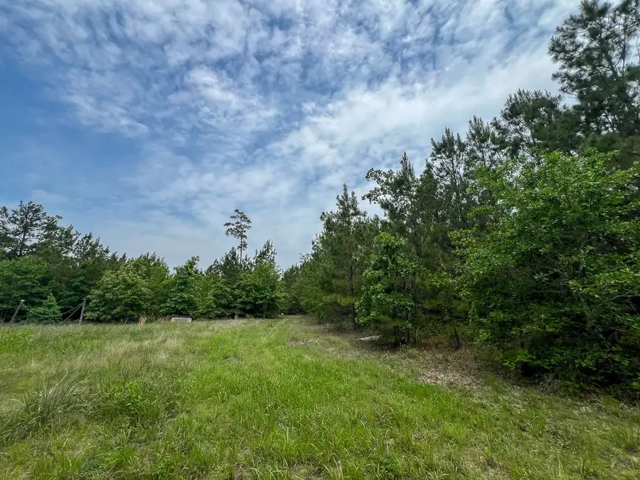 0 Highway 75 North, Huntsville, TX 77340 - #3