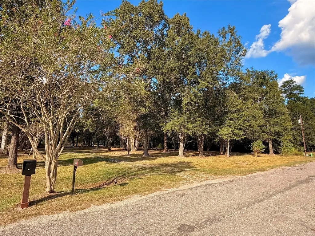 1265 County Road 6479, Dayton, TX 77535 - #1