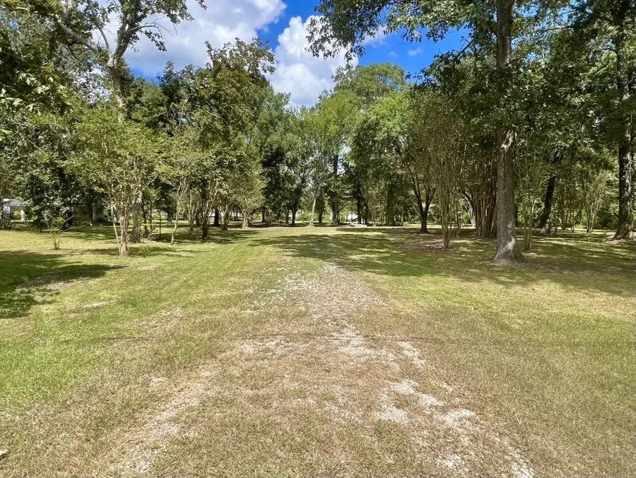 1265 County Road 6479, Dayton, TX 77535 - #3