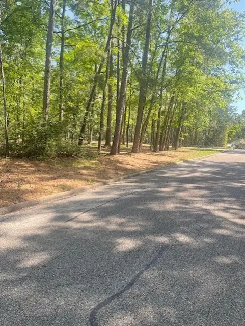 26705 Maple Lane, Huntsville, TX 77320 - Image #2