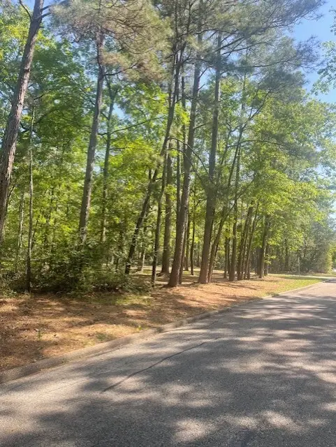 26705 Maple Lane, Huntsville, TX 77320 - Image #3