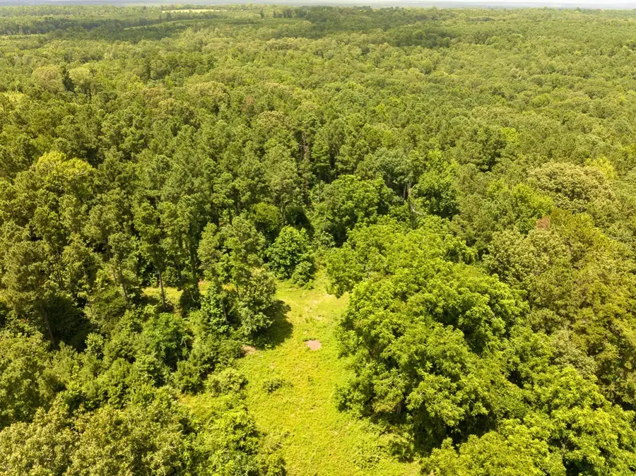 0 Cr 437, Laneville, TX 75667 - Image #2