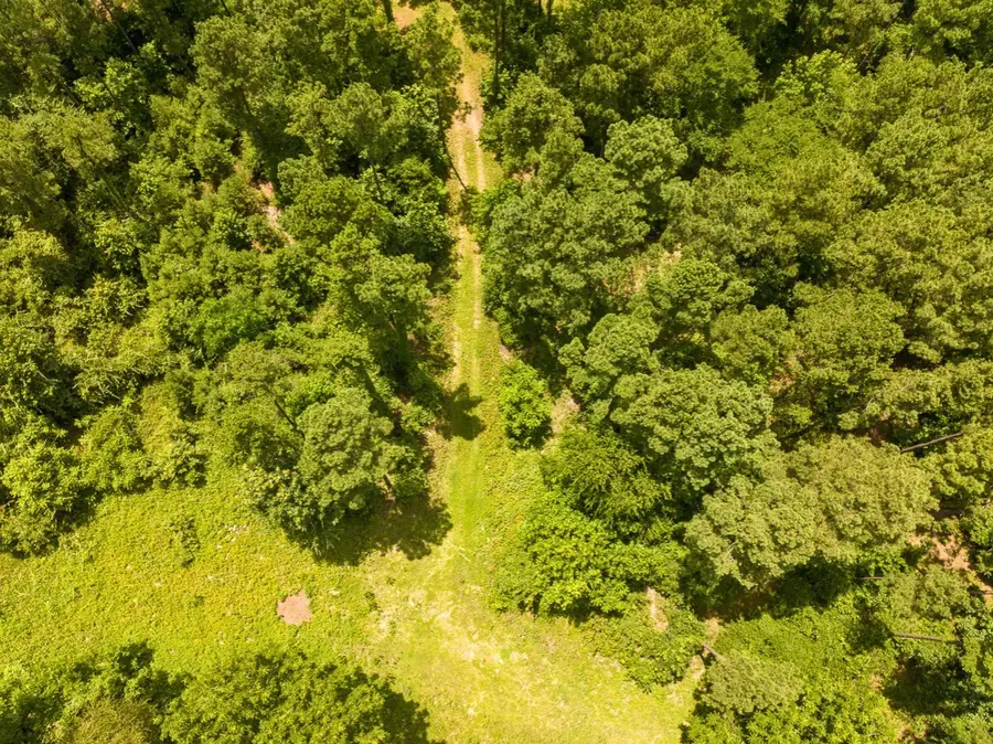 0 Cr 437, Laneville, TX 75667 - Image #3