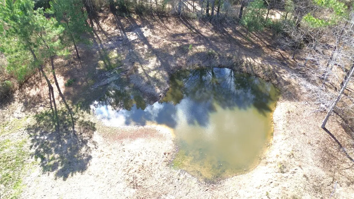 000 Cr 4120, Crockett, TX 75835 - #1