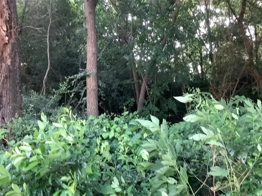 0 Wild Oak Dr, Northwest Harris, TX 77090 - Image #2