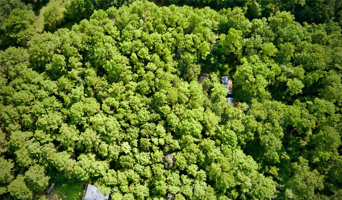 Lot 10 Walnut Grove Drive, Magnolia, TX 77355 - Image #1