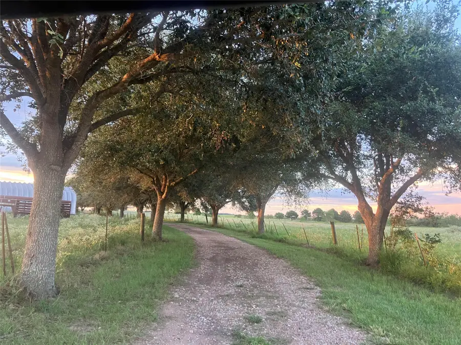 5848 Mieth Road, Sealy, TX 77474 - Image #3