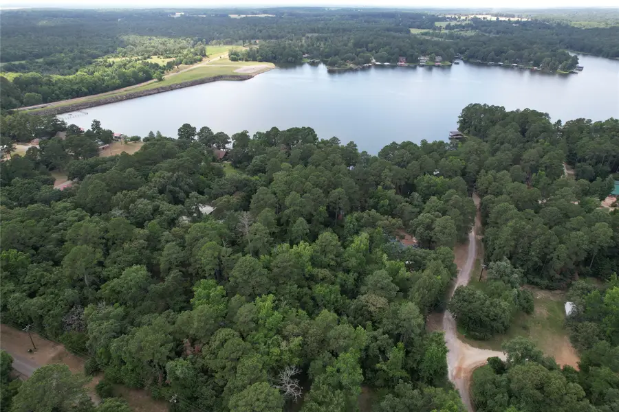 145 Crossed Arrows, Grapeland, TX 75844 - Image #3