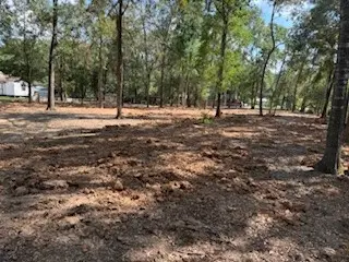 33102 Octavia Drive, Magnolia, TX 77354 - #2