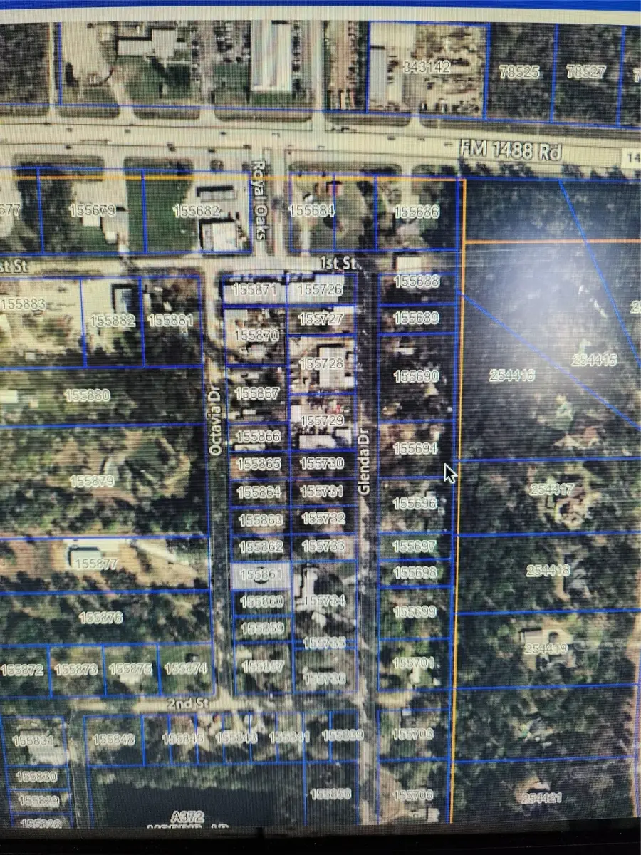 33102 Octavia Drive, Magnolia, TX 77354 - #3