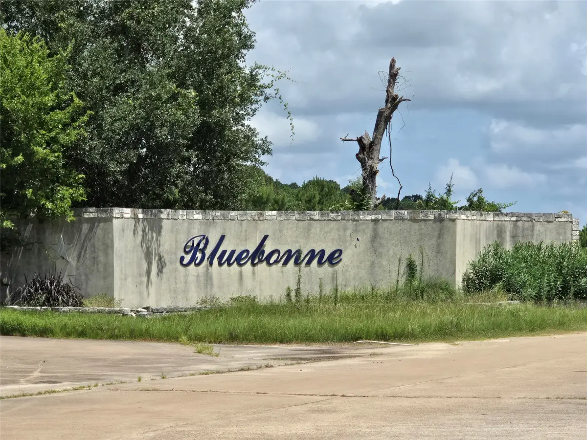 TBD Tree Line Loop, Anderson, TX 77830 - #1