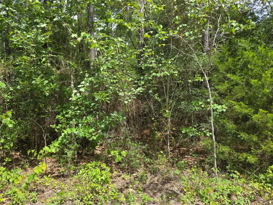 TBD Tree Line Loop, Anderson, TX 77830 - #2