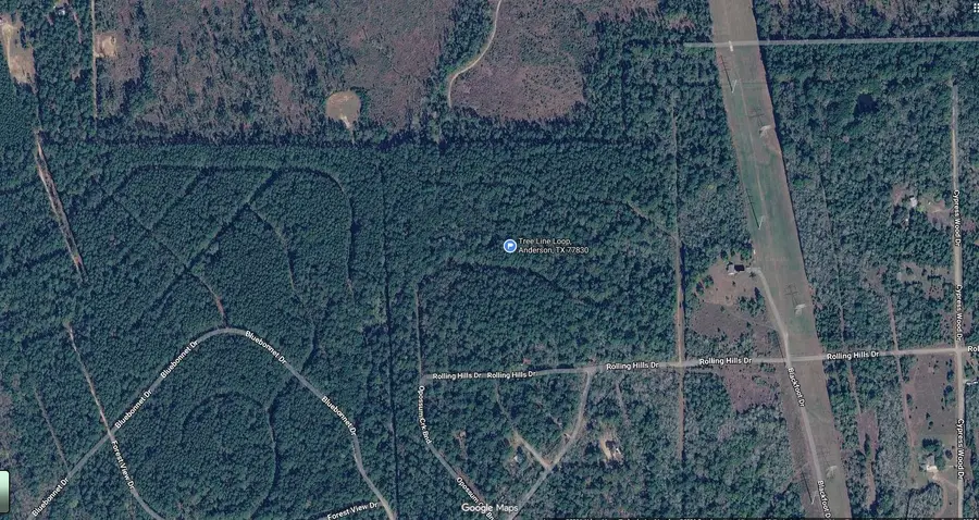 TBD Tree Line Loop, Anderson, TX 77830 - #3