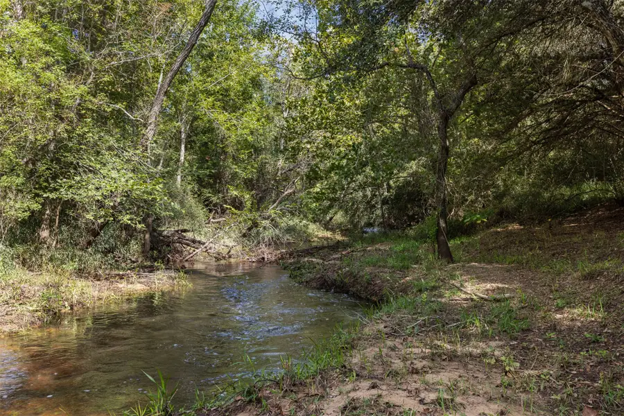 8189 Milton Road, Sealy, TX 77474 - #2