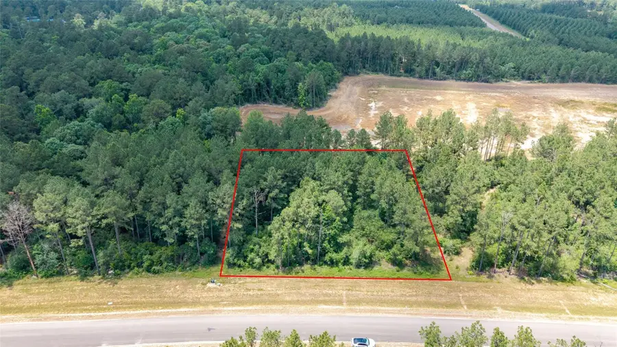 15981 Four Hills Road, Willis, TX 77378 - #3
