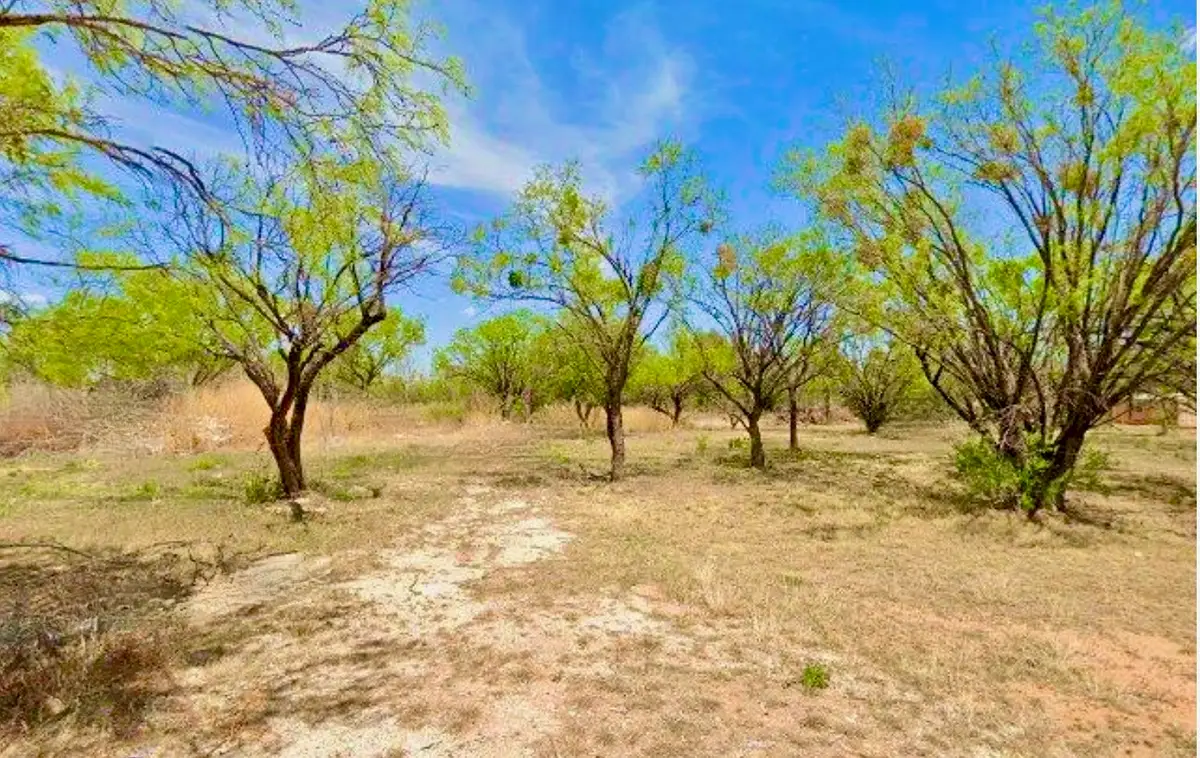 6216 Waldemar Street, Abilene, TX 79605 - Image #1