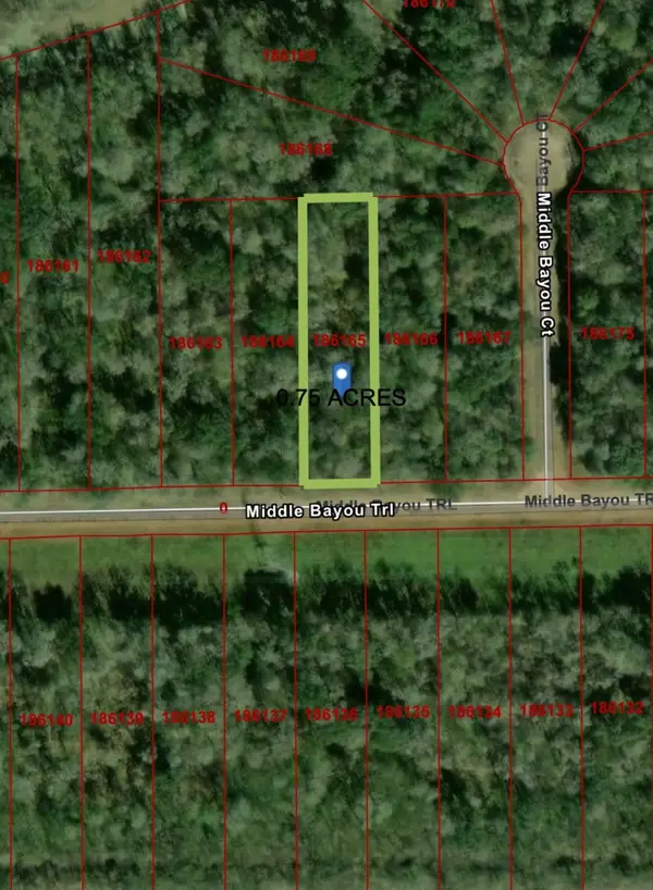 236 Middle Bayou Trail, Angleton, TX 77515