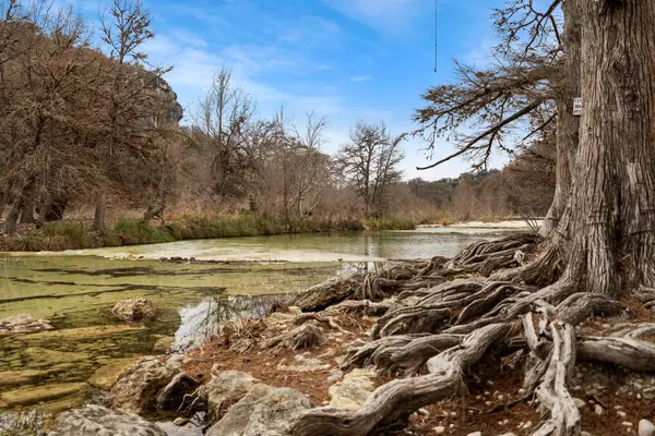 117 Cedar Ridge Road, Uvalde, TX 78838