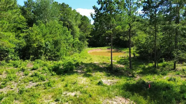 141 County Road 4872, Timpson, TX 75975