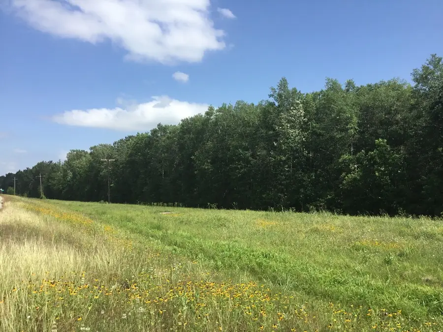 0 Hwy 90, Liberty Dayton, TX 77538 - Image #2