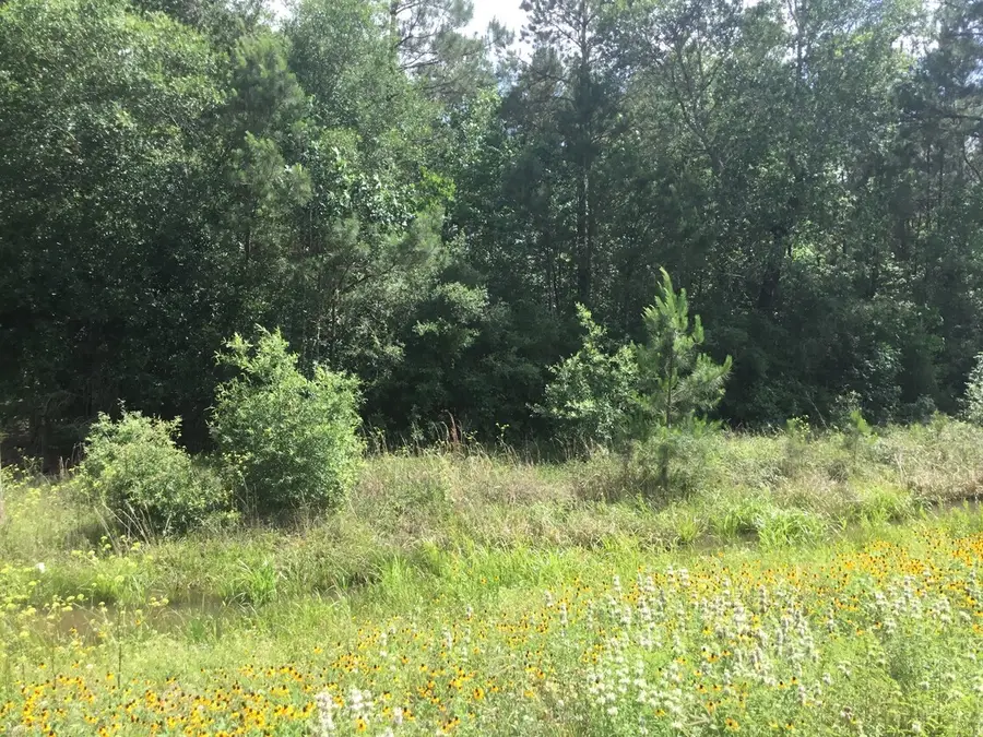 0 Hwy 90, Liberty Dayton, TX 77538 - Image #3