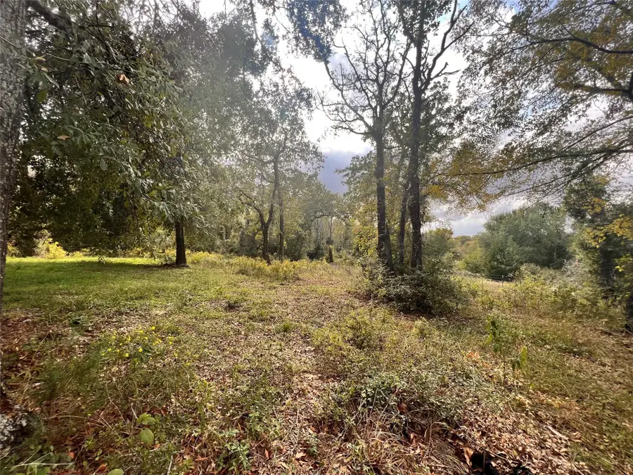 13701 Cr 349, Jewett, TX 75846 - #3
