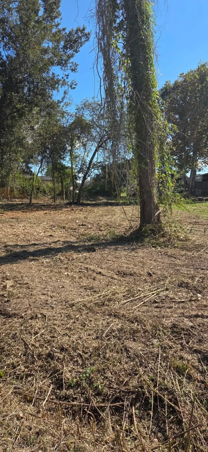 0 Lost Lake Drive, Monterey Belvieu, TX 77523 - Image #2