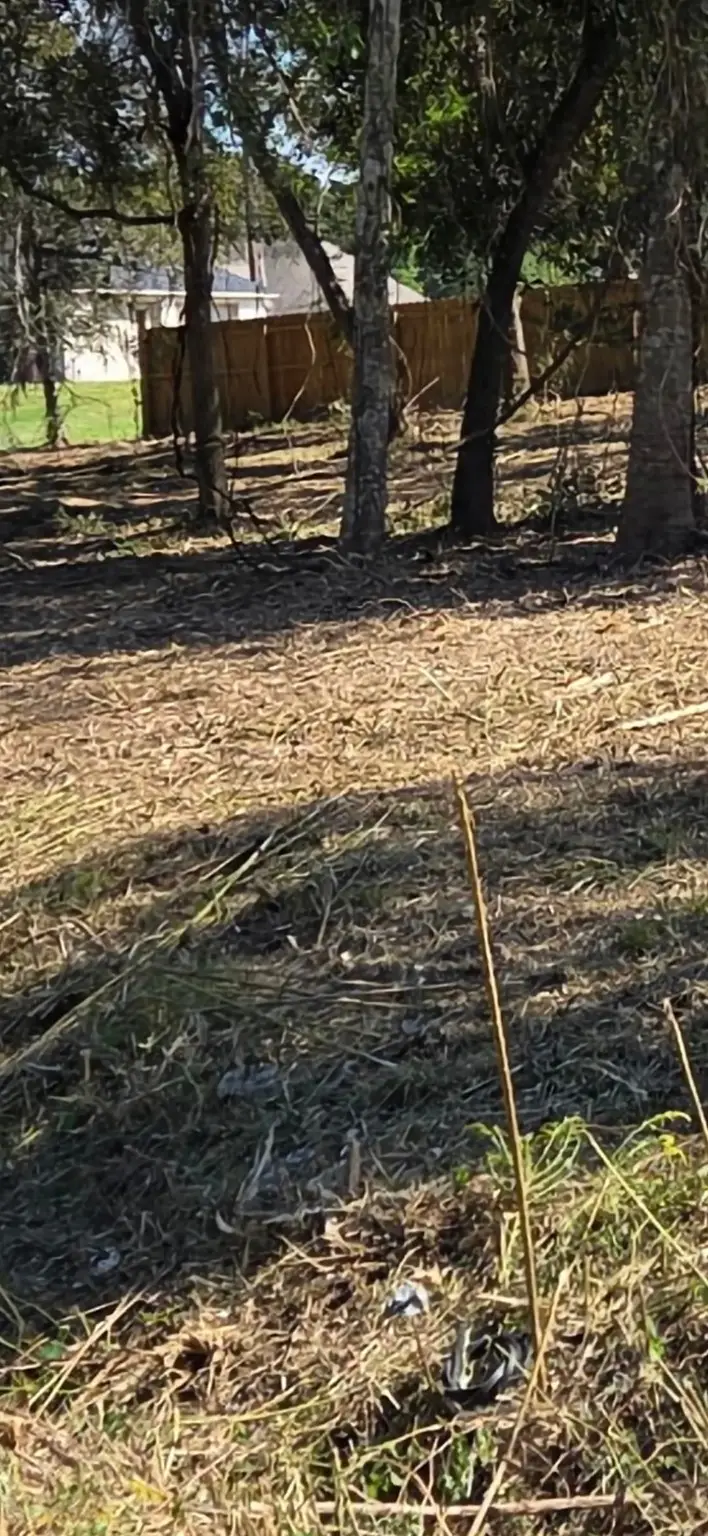 0 Lost Lake Drive, Monterey Belvieu, TX 77523 - Image #3