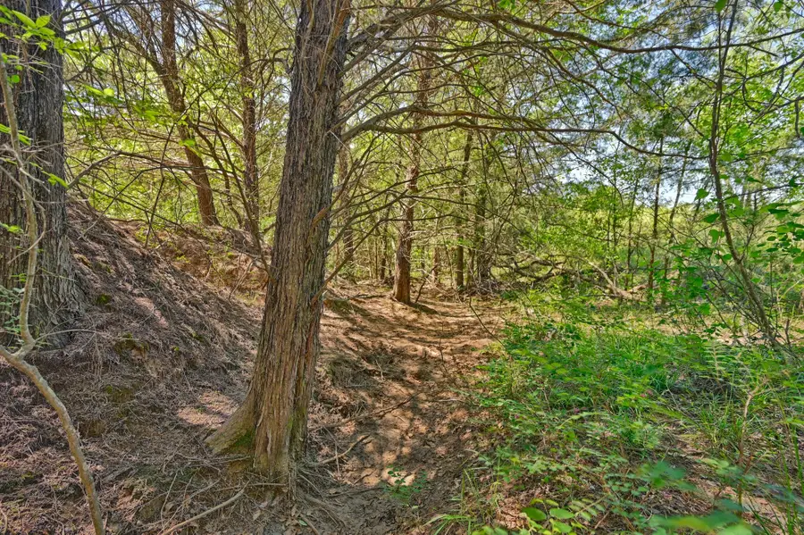 TBD Lcr 704, Kosse, TX 76653 - #2