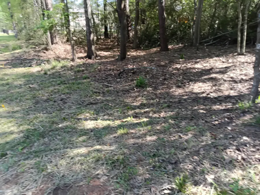 1004 White River Road, Conroe, TX 77316 - Image #2