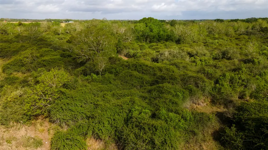 000 County Road 464, Blessing, TX 77419 - #2