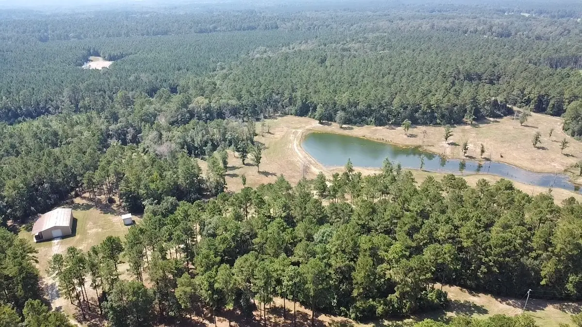 4300 Fm 256 N, Woodville, TX 75979 - Image #1