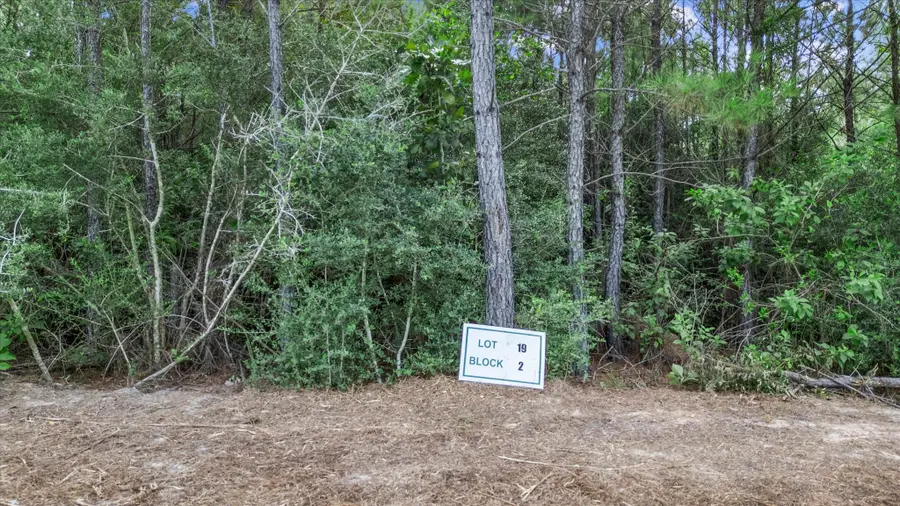 16230 Ridge Oak Road, Willis, TX 77378 - #2