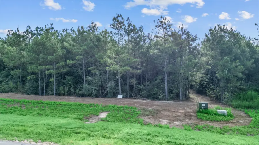 16230 Ridge Oak Road, Willis, TX 77378 - #3