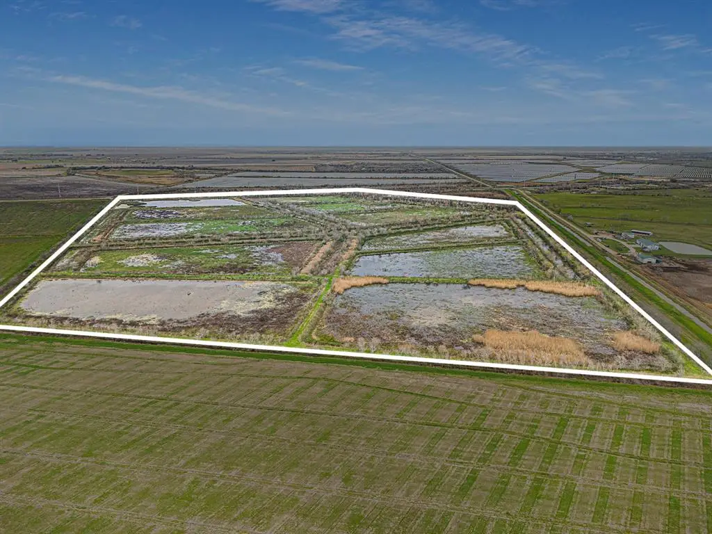 0 County Road 210, Liverpool, TX 77577 - Image #1