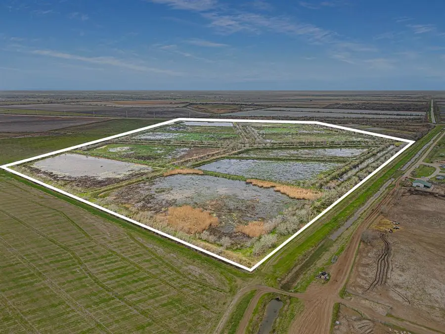 0 County Road 210, Liverpool, TX 77577 - Image #2