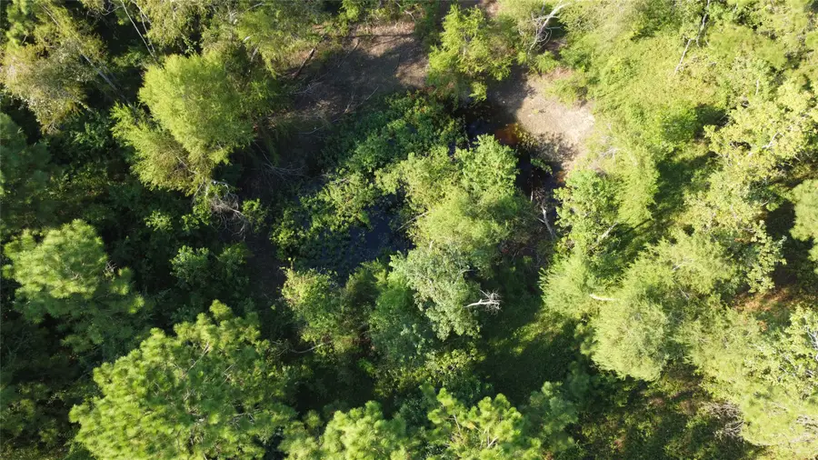 4925 County Road 435, Alvin, TX 77511 - Image #3