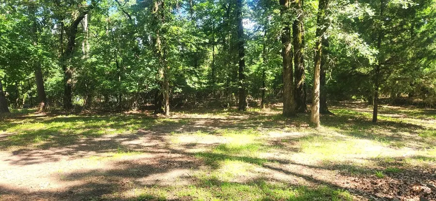339 Eastern Hills Drive, Jefferson, TX 75657 - #3