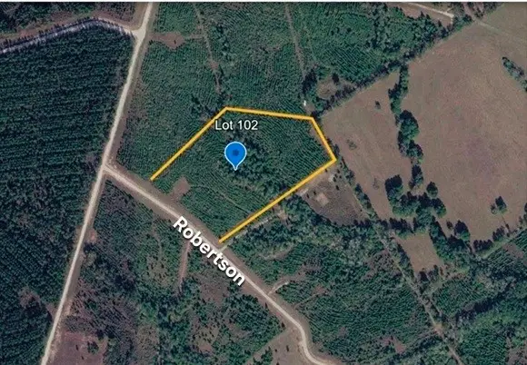 Tract 102 Robertson Road, Lovelady, TX 75851 - #2