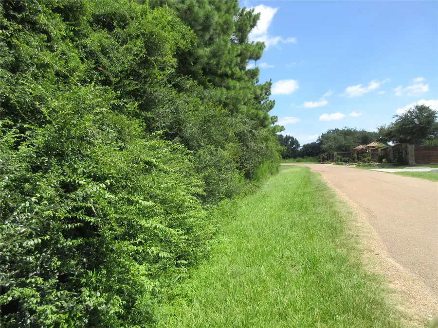 00 Thistle Down Spur Road, Cypress, TX 77429 - #3